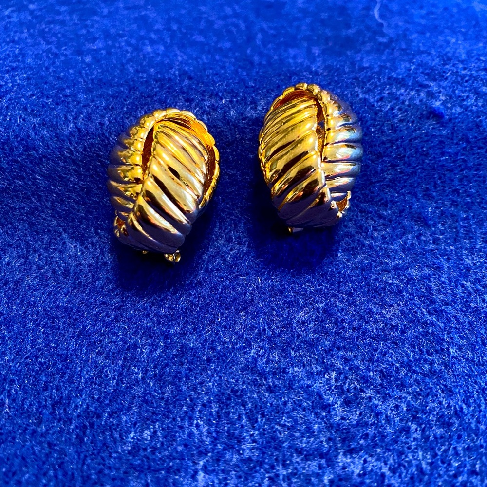 Omega earrings